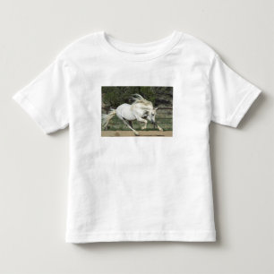 Andalusische hengst hardlopend, PR Kinder Shirts