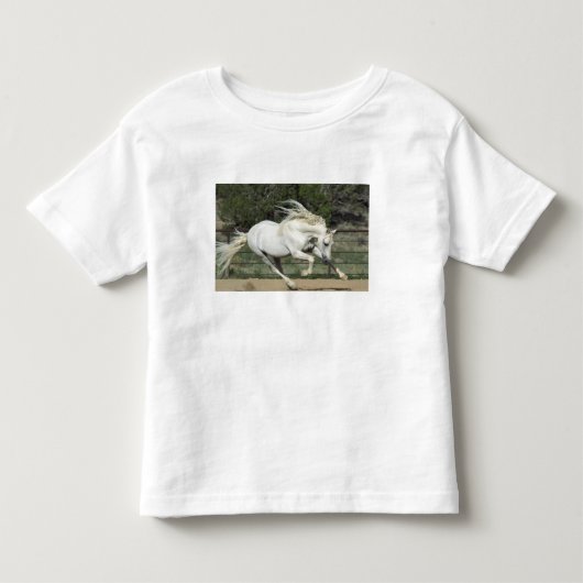 Andalusische hengst hardlopend, PR Kinder Shirts (Voorkant)