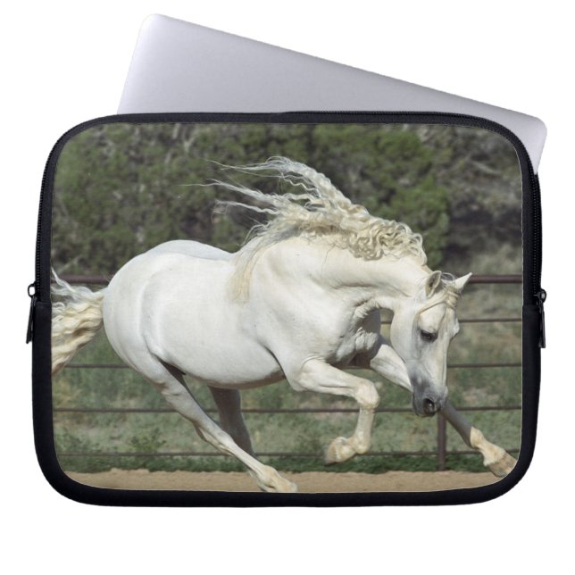 Andalusische hengst hardlopend, PR Laptop Sleeve (Voorkant)