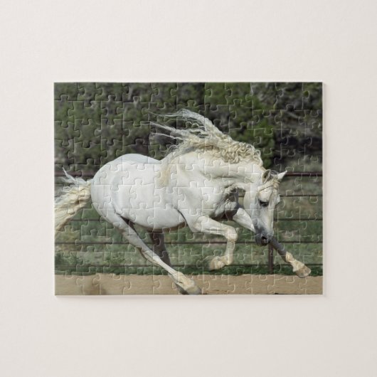 Andalusische hengst hardlopend, PR Legpuzzel (Horizontaal)