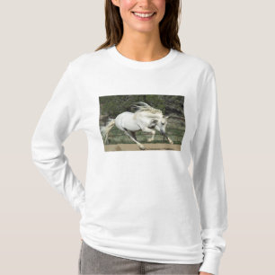 Andalusische hengst hardlopend, PR T-shirt