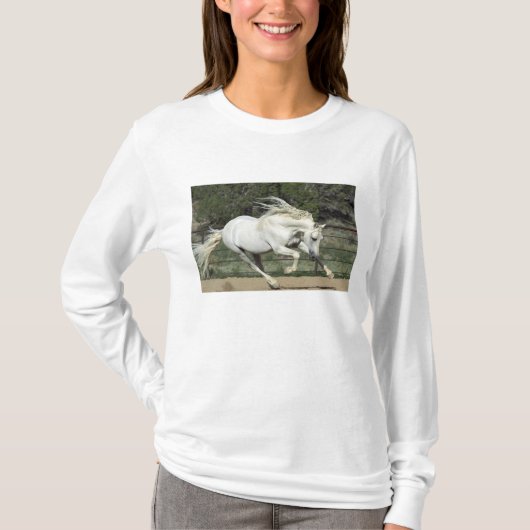 Andalusische hengst hardlopend, PR T-shirt (Voorkant)