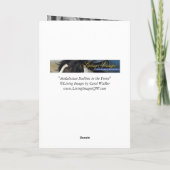 Andalusische hengst in het bos - wenskaart kaart (Achterkant)