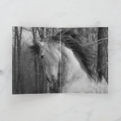 Andalusische hengst in het bos - wenskaart kaart (Binnen)