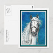 Andalusische paardenkunst Briefkaart (Voorkant / Achterkant)