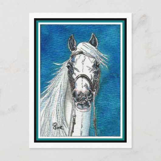 Andalusische paardenkunst Briefkaart (Voorkant)
