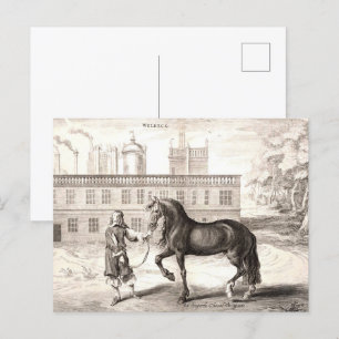 Andalusische PRE Paard  Gravure Fine Art Briefkaart