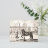 Andalusische PRE Paard  Gravure Fine Art Briefkaart (Staand voorkant)