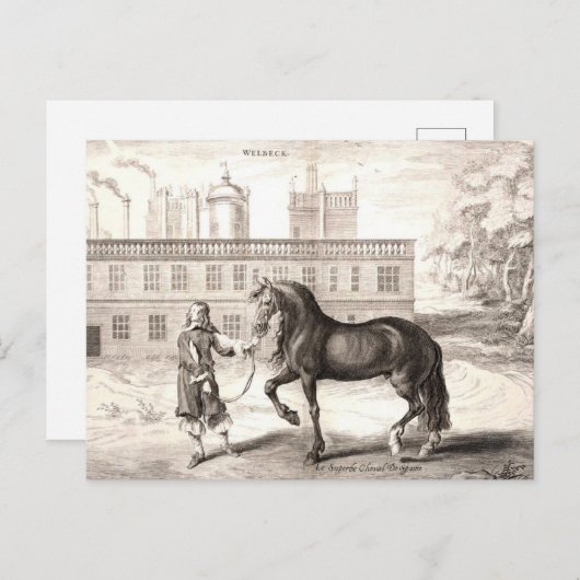 Andalusische PRE Paard  Gravure Fine Art Briefkaart (Voorkant / Achterkant)