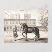 Andalusische PRE Paard  Gravure Fine Art Briefkaart (Voorkant)