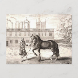 Andalusische PRE Paard  Gravure Fine Art Briefkaart