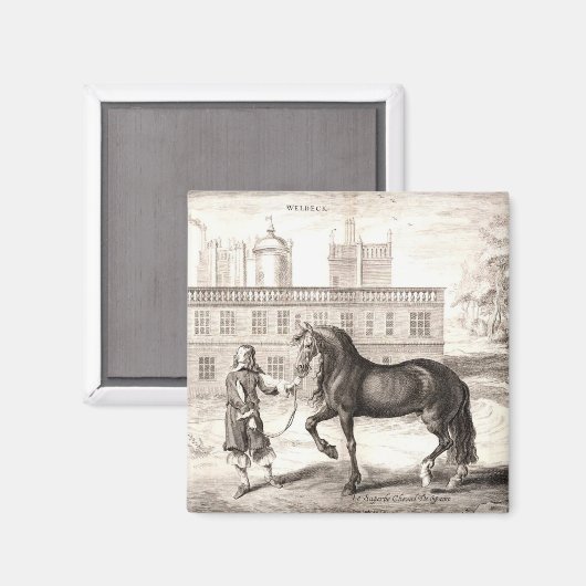 Andalusische PRE Paard  Gravure Fine Art Magneet (Voorkant / Achterkant)
