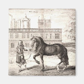 Andalusische PRE Paard  Gravure Fine Art Magneet (Voorkant)