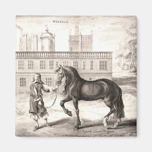 Andalusische PRE Paard  Gravure Fine Art Magneet (Voorkant)