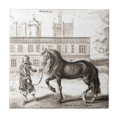 Andalusische PRE Paard  Gravure Fine Art Tegeltje (Voorkant)