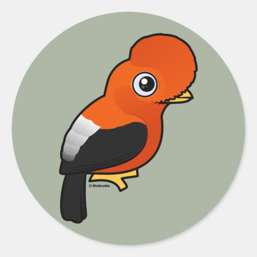 Andean Cock-of-the-rock Ronde Sticker (Voorkant)
