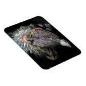 Andean Condor Male Magneet (Rechterzijde)