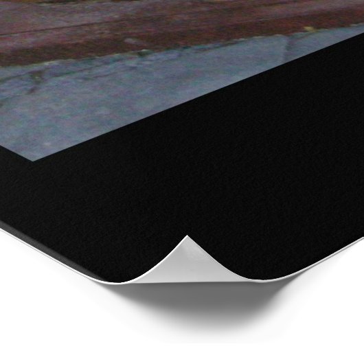 Andechs Lion Poster (Hoek)