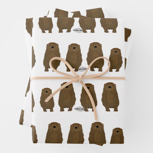 Ander inpakpapier (In situ)