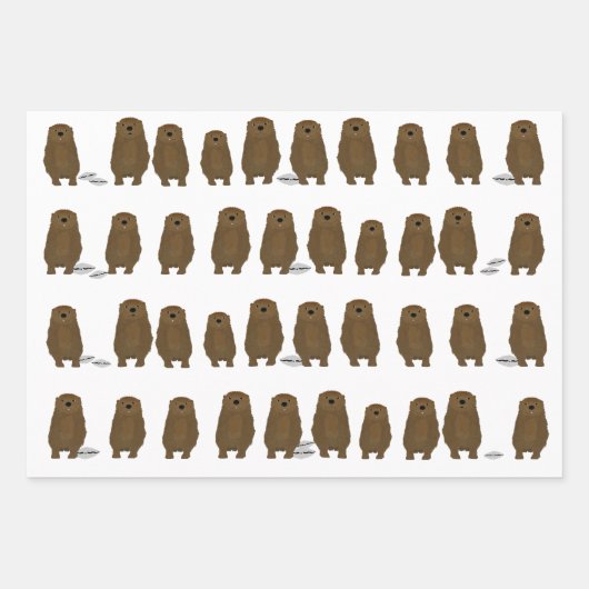 Ander inpakpapier vel (Voorkant 2)