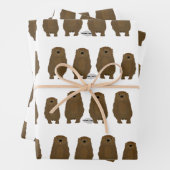 Ander inpakpapier vel (In situ)