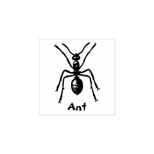 ANDER INSECT RUBBER STEMP RUBBERSTEMPEL (Afrduk)