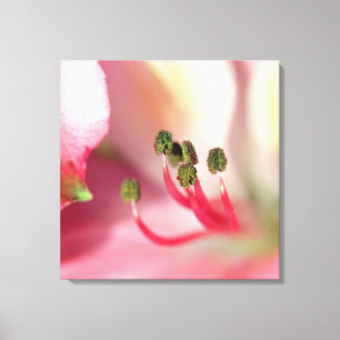 Ander verrekte canvas afdrukken