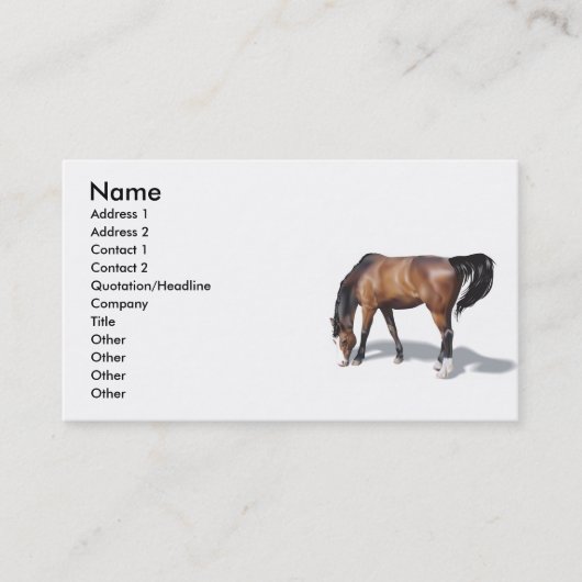 Andere017, naam, adres 1, adres 2, contactpersoon visitekaartje (Voorkant)