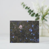 "Andere blauwe werelden" Briefkaart (Staand voorkant)