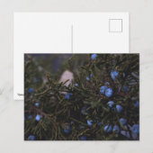 "Andere blauwe werelden" Briefkaart (Voorkant / Achterkant)