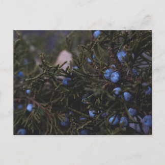 "Andere blauwe werelden" Briefkaart