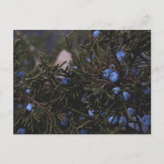 "Andere blauwe werelden" Briefkaart (Voorkant)