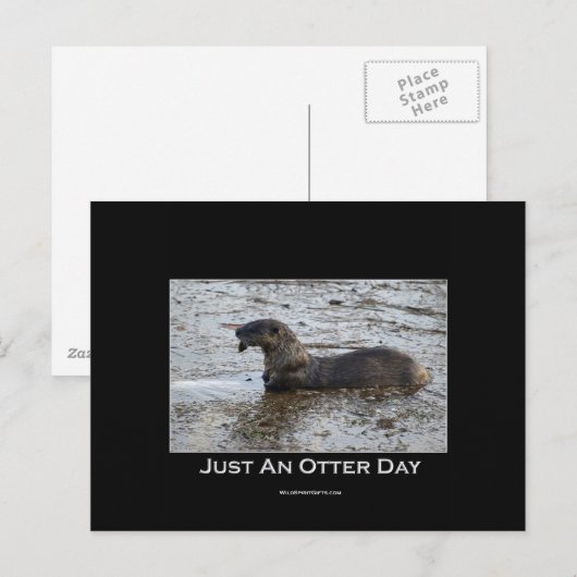 Andere Briefkaarten (Voorkant / Achterkant)