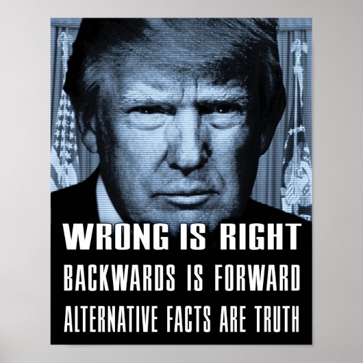 Andere feiten zijn waarheid - antiPresident trump Poster (Voorkant)