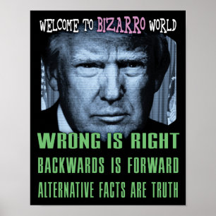 Andere feiten zijn waarheid - antiPresident trump Poster