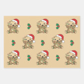 Andere Kerst Winter Dieren Vakantie Otters Inpakpapier Vel (Voorkant)