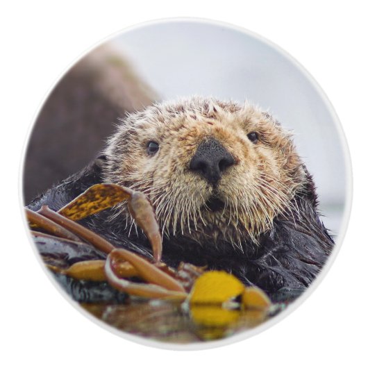 Andere verrassingsknop keramische knop (Voorkant)