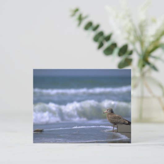 andere zijde van het zee briefkaart (Staand voorkant)