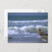 andere zijde van het zee briefkaart (Voorkant / Achterkant)