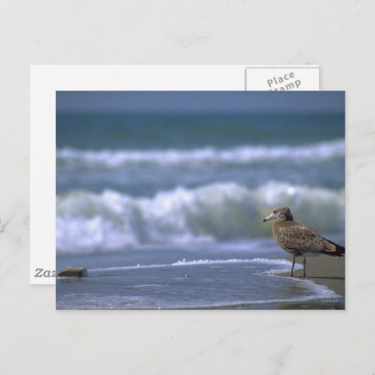 andere zijde van het zee briefkaart (Voorkant / Achterkant)