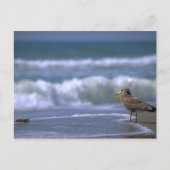 andere zijde van het zee briefkaart (Voorkant)