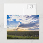 Andere Zonsondergang Briefkaart (Voorkant / Achterkant)
