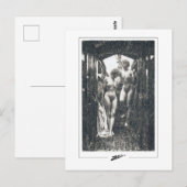 Anders Zorn #279 - Kunstkaart Briefkaart (Voorkant / Achterkant)
