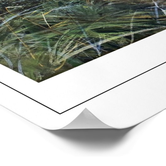 Anders Zorn Zedign Art Poster #26 (Hoek)