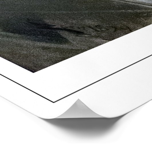 Anders Zorn Zedign Art Poster #363 (Hoek)