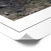 Anders Zorn Zedign Art Poster #93 (Hoek)