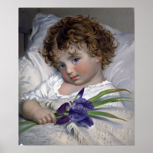 Anderson - Prattling Primrose Poster (Voorkant)