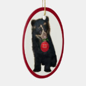 Andes Beer Foundation 2011 Ornament (Rechts)