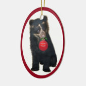 Andes Beer Foundation 2011 Ornament (Links)