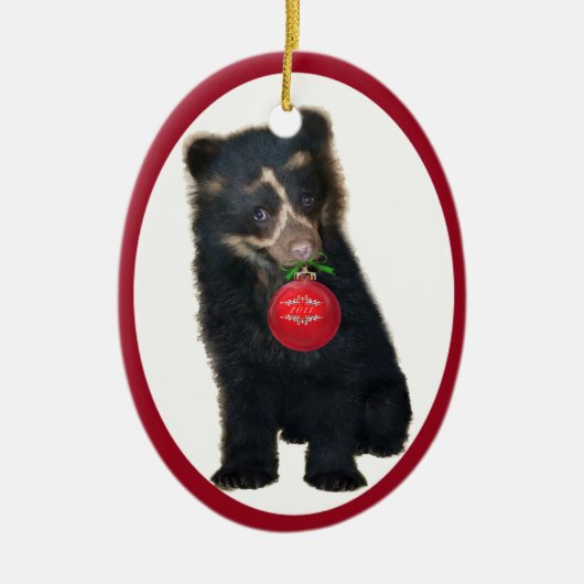 Andes Beer Foundation 2011 Ornament (Voorkant)